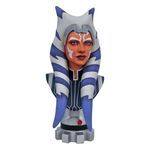 Other figurines and busts