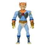 Masters of the Universe x ThunderCats Action Figure - Tygra