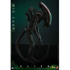 Alien Movie Masterpiece 1/6 Action figure - Big Chap (MMS826)- 3 image