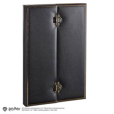 Harry Potter 1/1 Replica - Cursed Opal Necklace- 3 image