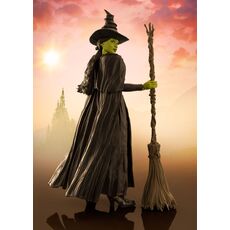 Wicked S.H. Figuarts Action figure - Elphaba