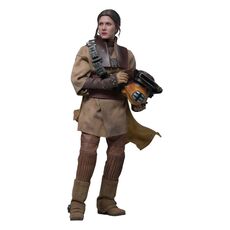 Star Wars: Episode VI Movie Masterpiece 1/6 Action figure - Leia Organa (Boushh Disguise) [MMS854]