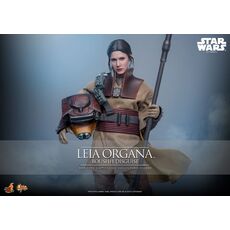Star Wars: Episode VI Movie Masterpiece 1/6 Action figure - Leia Organa (Boushh Disguise) [MMS854]- 2 image