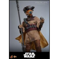 Star Wars: Episode VI Movie Masterpiece 1/6 Action figure - Leia Organa (Boushh Disguise) [MMS854]- 4 image