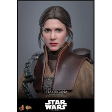 Star Wars: Episode VI Movie Masterpiece 1/6 Action figure - Leia Organa (Boushh Disguise) [MMS854]- 12 image