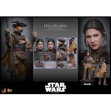 Star Wars: Episode VI Movie Masterpiece 1/6 Action figure - Leia Organa (Boushh Disguise) [MMS854]- 16 image