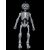 Graveyard Skeletons Action Figure Four-Pack- 22 image