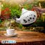 Alice's Adventures in Wonderland Teapot - Queen of Hearts- 7 image