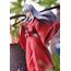 InuYasha: The Final Act Pop Up Parade Statue - Inuyasha- 8 image