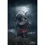 Assassin's Creed: Black Flag Resynced 1/4 Mini bust - Edward Kenway- 7 image