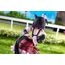 Umamusume: Pretty Derby 1/7 Statue - Eishin Flash (Victory Pose Ver.)- 8 image