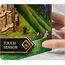 The Lord of the Rings Tiny Adventures Minas Tirith- 6 image