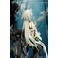 Arknights 1/7 Statue - Kal'tsit Esperanta- 13 image