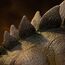 The Lost World: Jurassic Park Icons Statue - Stegosaurus- 8 image