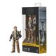 Star Wars: Skeleton Crew Black Series Action Figure - Fern